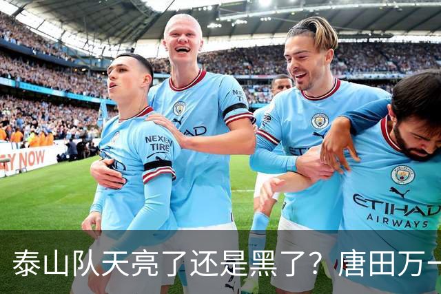 泰山队天亮了还是黑了？唐田万一赢了海港呢！陈蒲致歉，球迷并不买账